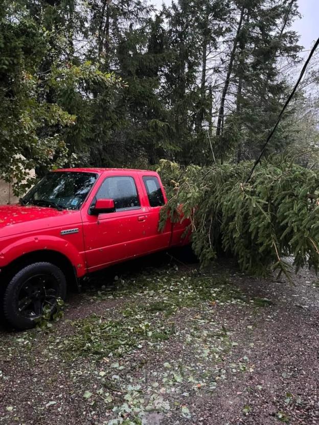 A tree falls on a truck in a driveway. 