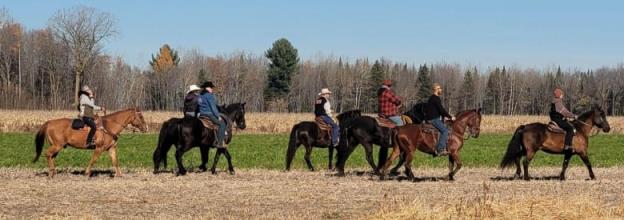 People on horseback walk across a field, with the forest in the background. 