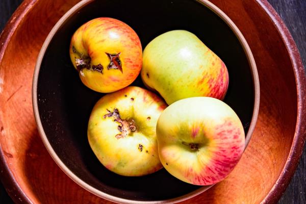 bowl of bruised apples