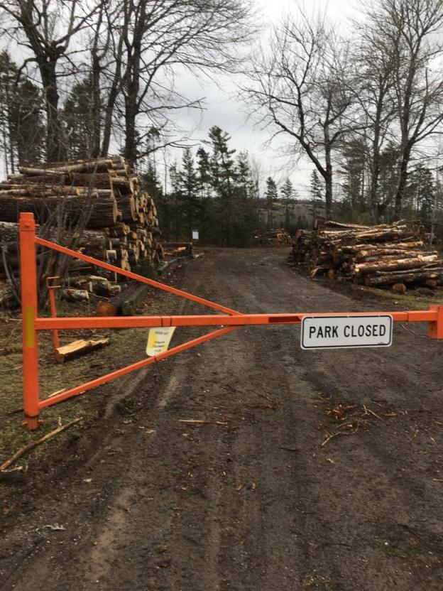 An orange barricade is seen blocking access to road leading into a park. A white sign on the barricade reads 'Park Closed.' Cut logs are seen behind the barricade, beside the road.