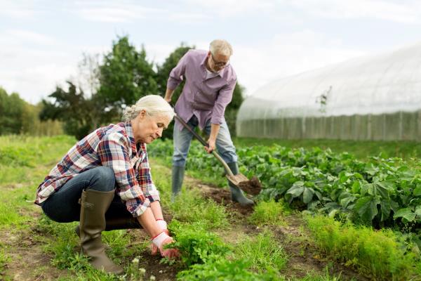 Couple gardening