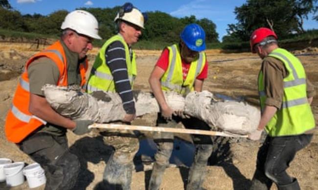 Four men in helmets and work vests carrying a mammoth tusk on a board