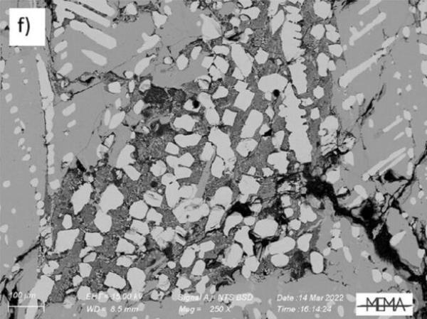 The compound down the microscope