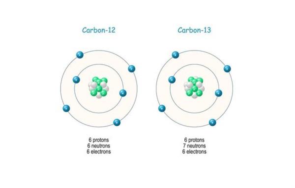 A diagram of carbon-12 and carbon-13