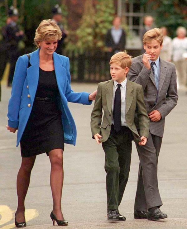 Princess Diana, Prince Harry and Prince William