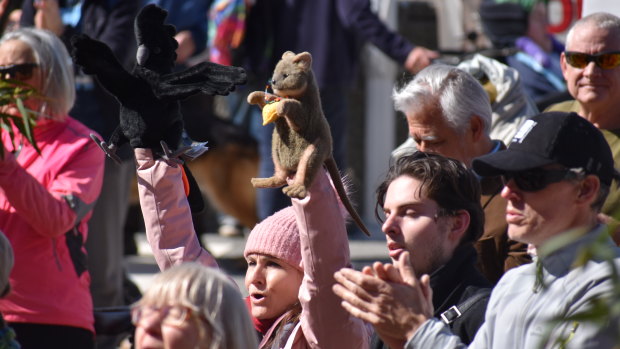 The rally was held on the steps of Parliament House on Saturday. 