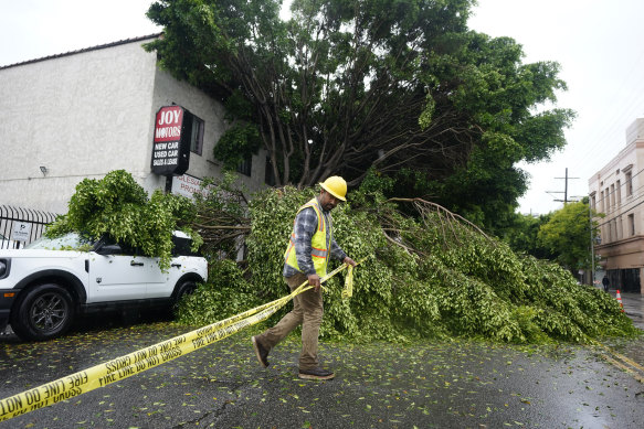 A worker drags caution tape to block off a fallen tree in Los Angeles. Tropical Storm Hilary is still carrying so much rain that forecasters said “catastrophic and life-threatening” flooding is likely.