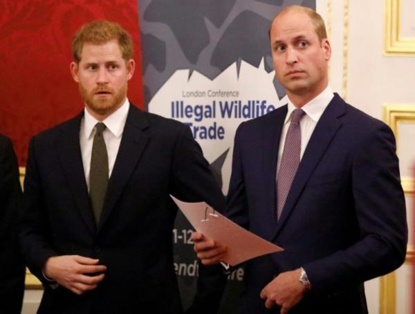 The announcement reportedly caused acrimony between Prince Harry and his elder brother Prince William (r)