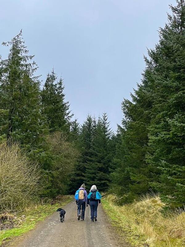 Walking into Kielder Forest in Northumberland