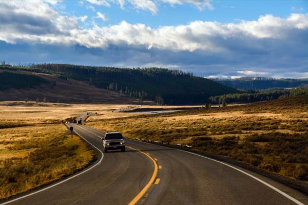 driving in yellowstone natio<em></em>nal park