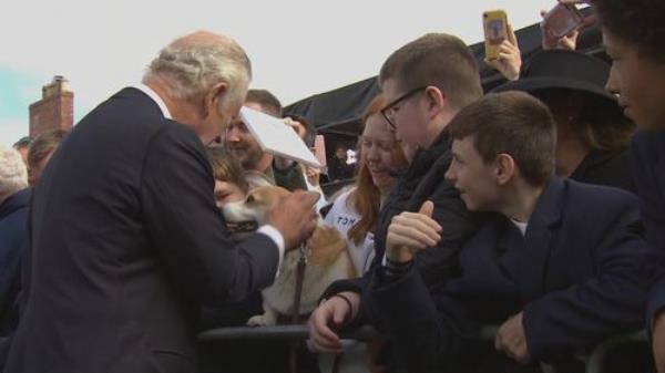 King Charles III gives a scratch to a corgi in Belfast.