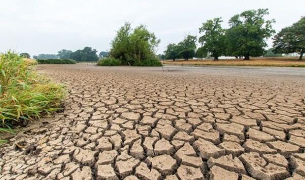 A dried-out lake at Charlecote Park, Warwickshire